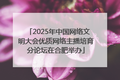 2025年中国网络文明大会优质网络主播培育分论坛在合肥举办