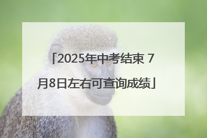 2025年中考结束 7月8日左右可查询成绩