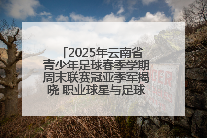 2025年云南省青少年足球春季学期周末联赛冠亚季军揭晓 职业球星与足球小将共享荣耀时刻