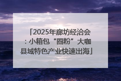 2025年廊坊经洽会：小箱包“圈粉”大咖 县域特色产业快速出海