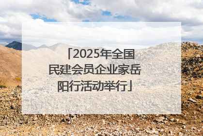 2025年全国民建会员企业家岳阳行活动举行