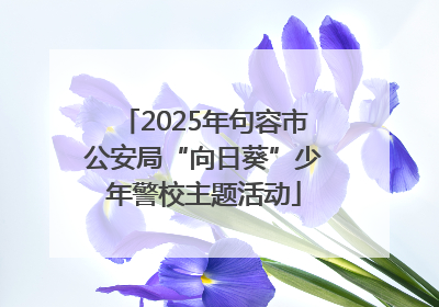 2025年句容市公安局“向日葵”少年警校主题活动