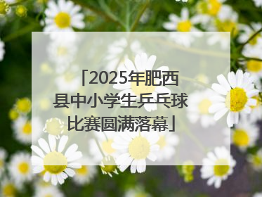 2025年肥西县中小学生乒乓球比赛圆满落幕
