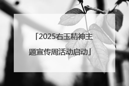 2025右玉精神主题宣传周活动启动
