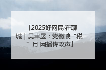 2025好网民·在聊城｜吴聿晟：党徽映“税”月 网播传政声
