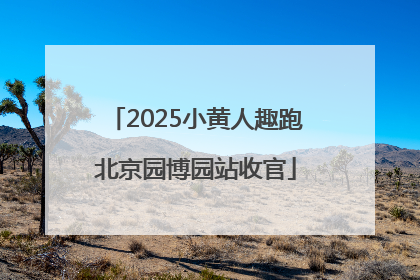 2025小黄人趣跑北京园博园站收官