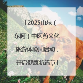 2025山东（东阿）中医药文化旅游体验周启动，开启健康新篇章