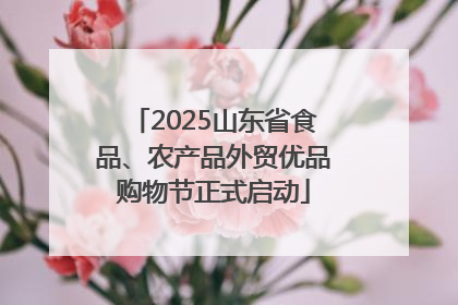 2025山东省食品、农产品外贸优品购物节正式启动
