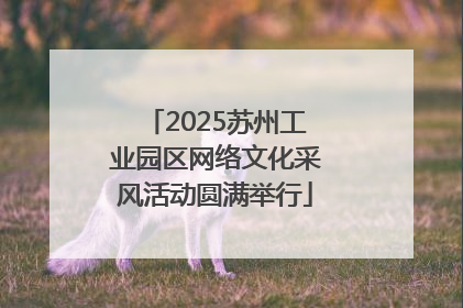 2025苏州工业园区网络文化采风活动圆满举行