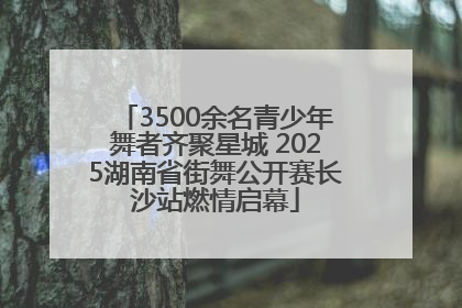 3500余名青少年舞者齐聚星城 2025湖南省街舞公开赛长沙站燃情启幕