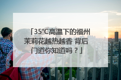 35℃高温下的福州茉莉花越热越香 背后门道你知道吗？