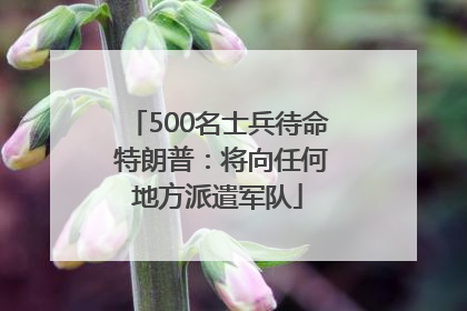 500名士兵待命 特朗普：将向任何地方派遣军队