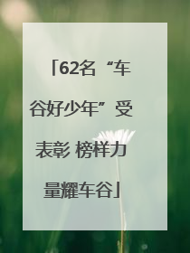 62名“车谷好少年”受表彰 榜样力量耀车谷