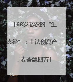 68岁老农的“生态经”：土法创高产，麦香飘四方