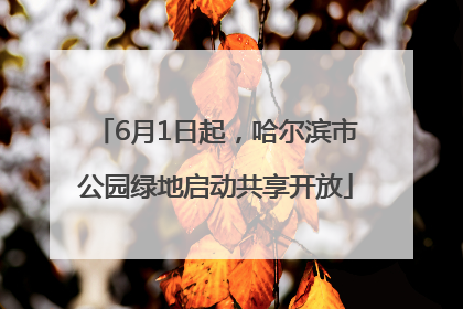 6月1日起，哈尔滨市公园绿地启动共享开放