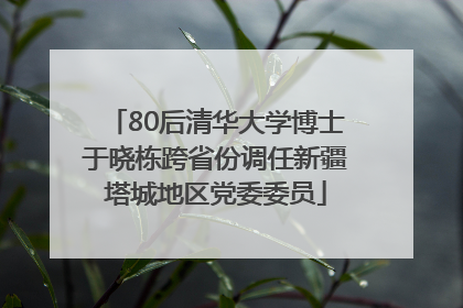 80后清华大学博士于晓栋跨省份调任新疆塔城地区党委委员