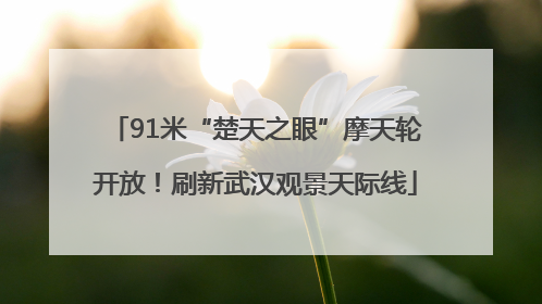 91米“楚天之眼”摩天轮开放！刷新武汉观景天际线