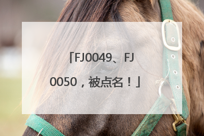 FJ0049、FJ0050,被点名!